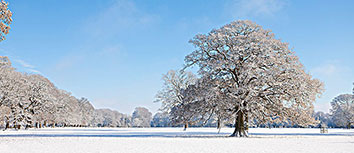 神勇发挥，霍福德协助胡德大发，人力挫人